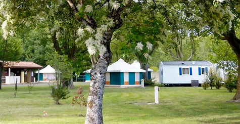 camping la taillee charente maritime